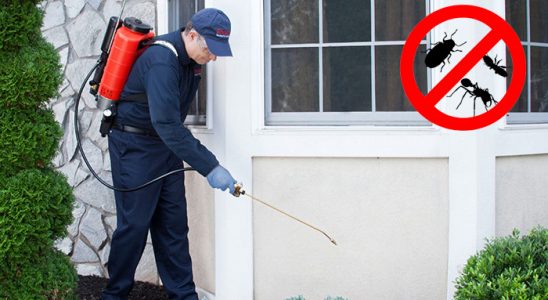 Kurtalan Kemirgen İlaçlama böcek ilaçlama ve haşere kontrolü — ilaclama-tr.com